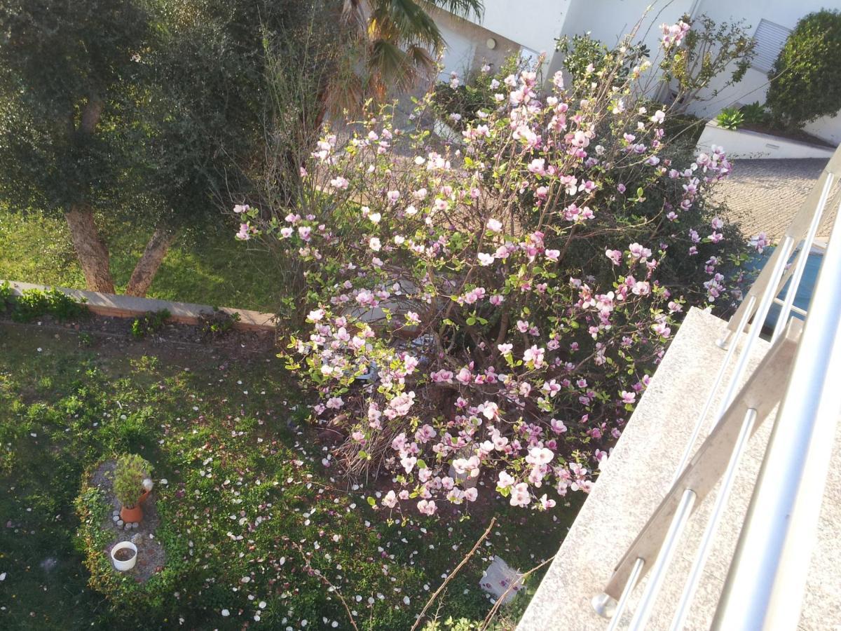 Com O Douro A Vista Bed & Breakfast Jovim ภายนอก รูปภาพ
